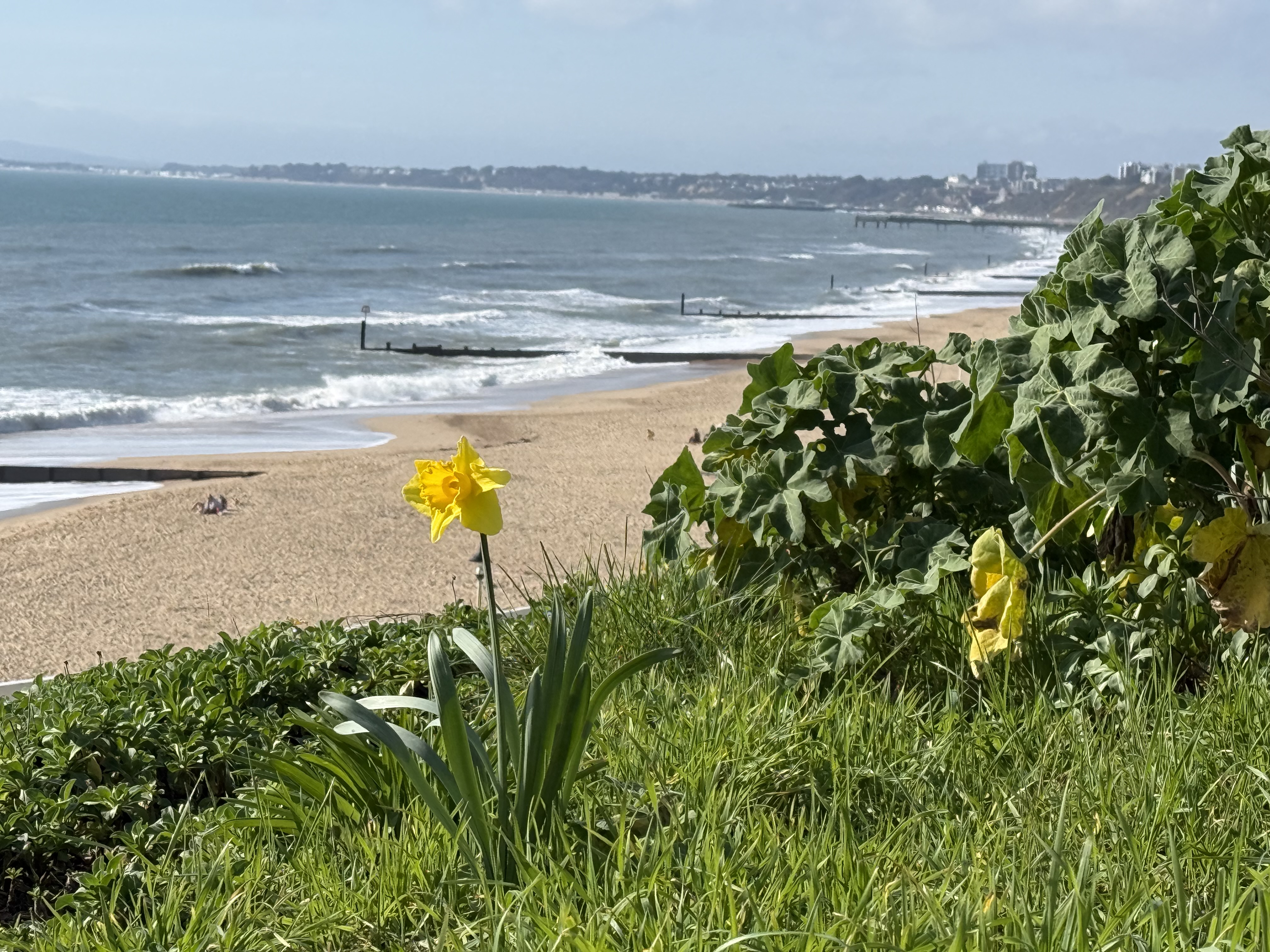 Beach walk & clean - plus a FREE coffee and cake!
